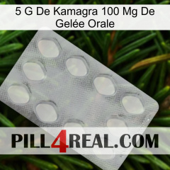 5 G De Kamagra 100 Mg De Gelée Orale 16